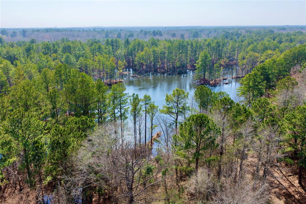 0 State Line Road Texarkana, TX 75501 - Photo 8 of 40 a view of a lake with houses in the back