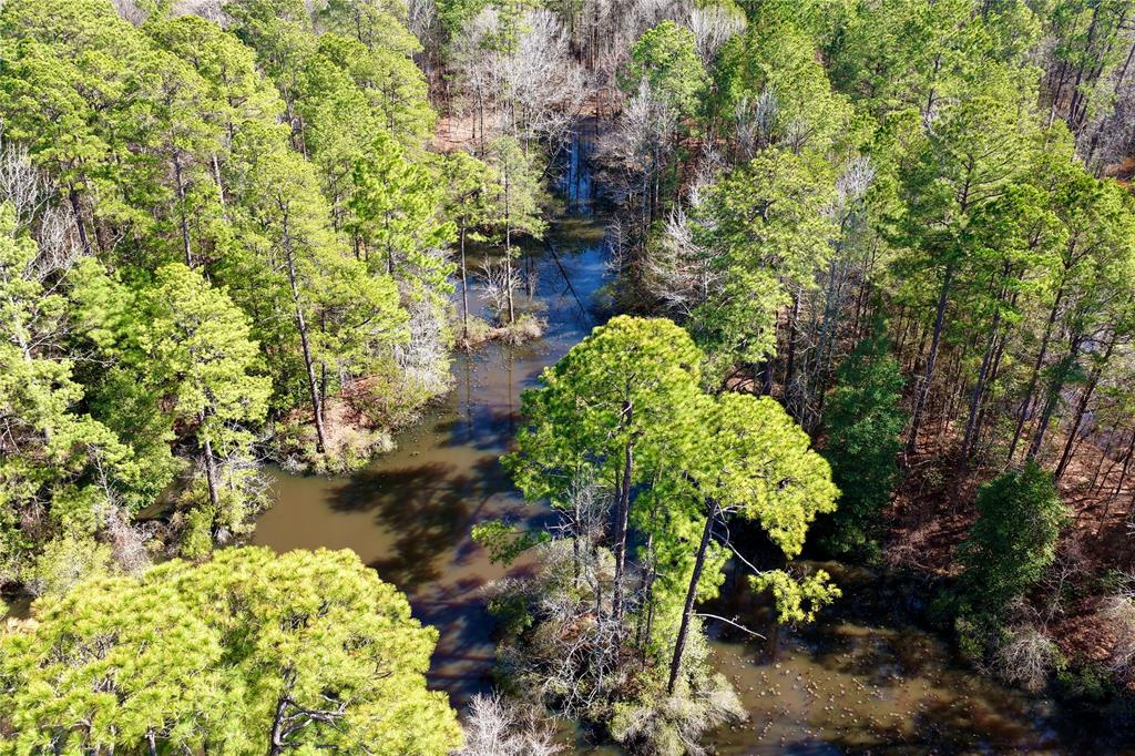 0 State Line Road Texarkana, TX 75501 - Photo 9 of 40 a plant that is in a garden
