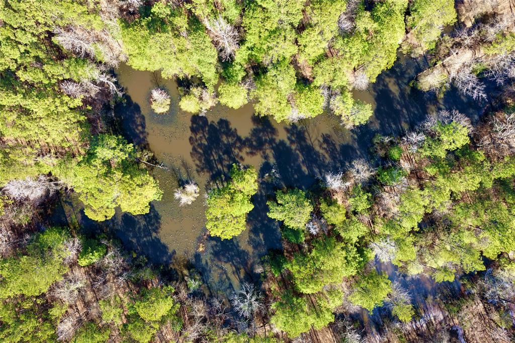0 State Line Road Texarkana, TX 75501 - Photo 10 of 40 a view of a garden with plants