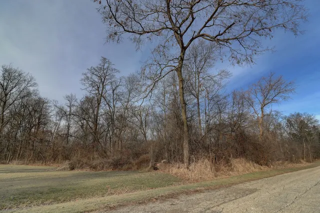 a view of a yard with trees