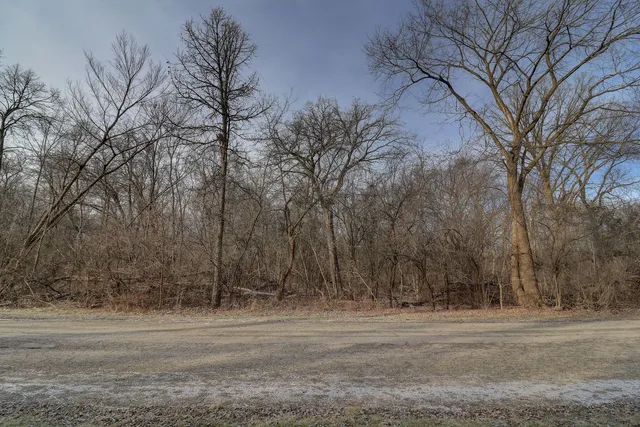 a view of a yard with large trees