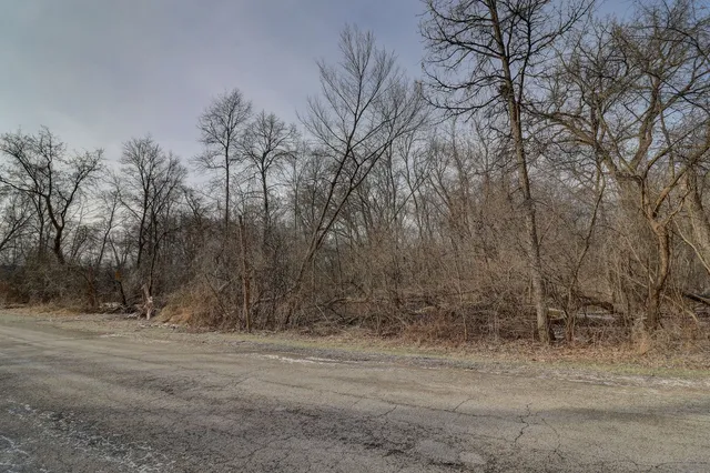 a view of dirt field with trees in background