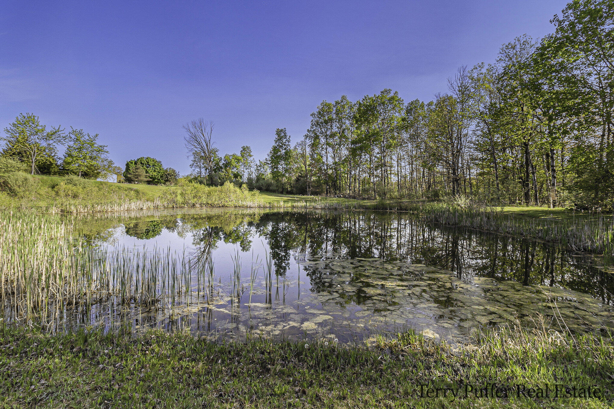 11580 Satterlee Road Lakeview, MI 48850 - Photo 13 of 43 057_625a0954_copy