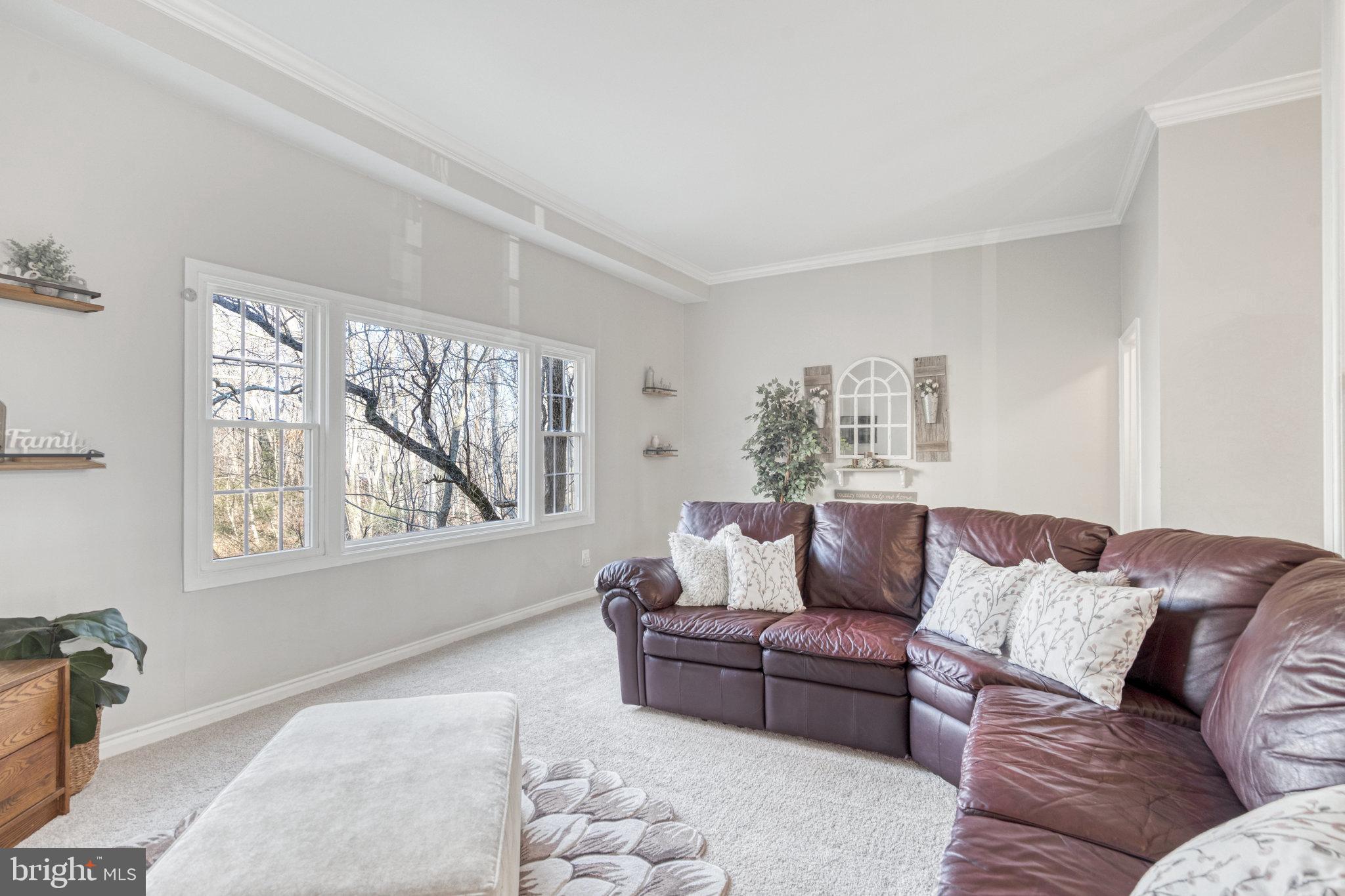 5910 Minutemen Road, Unit 294 Springfield, VA 22152 - Photo 13 of 34 Living Room