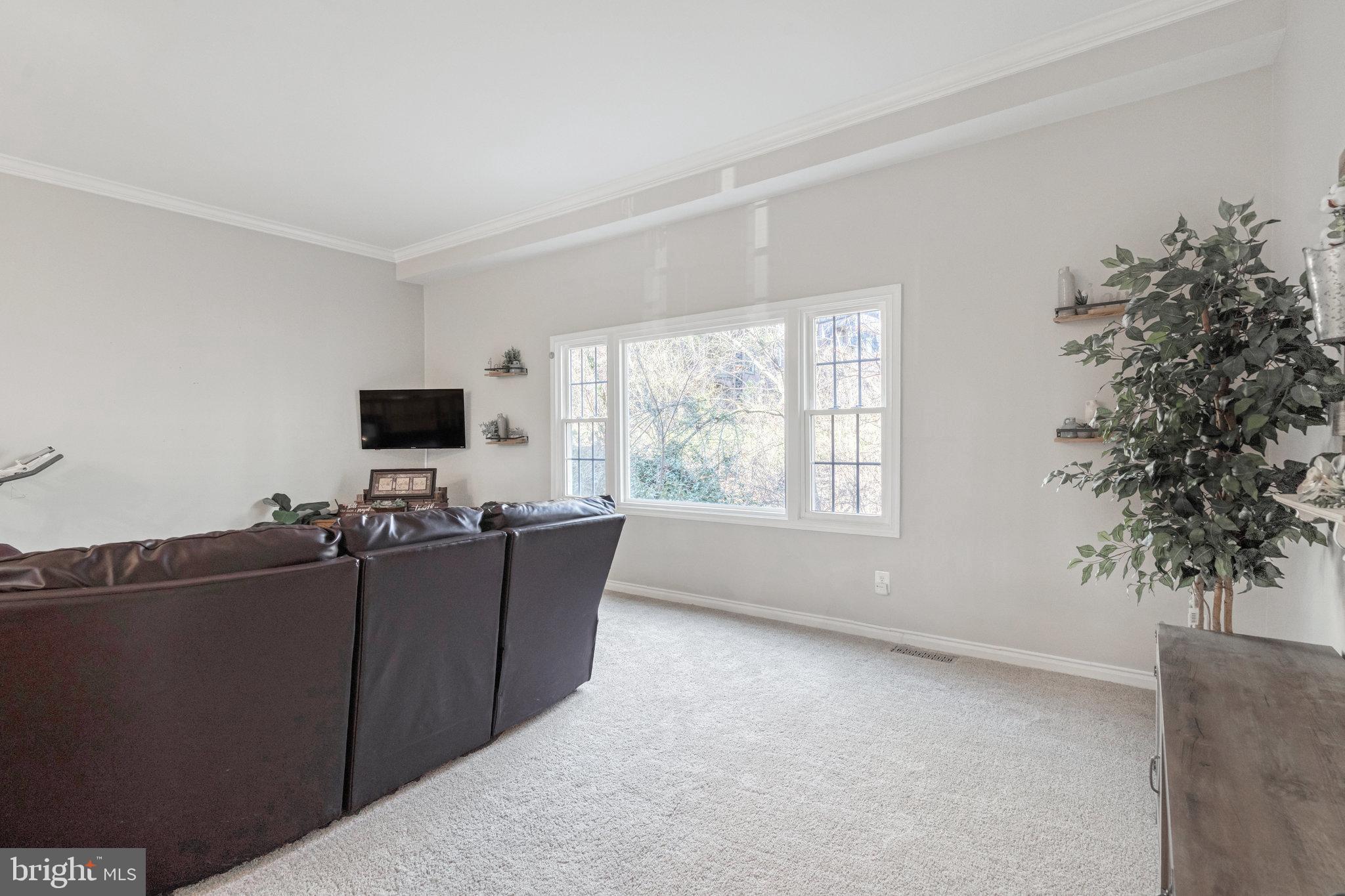 5910 Minutemen Road, Unit 294 Springfield, VA 22152 - Photo 14 of 34 Living Room