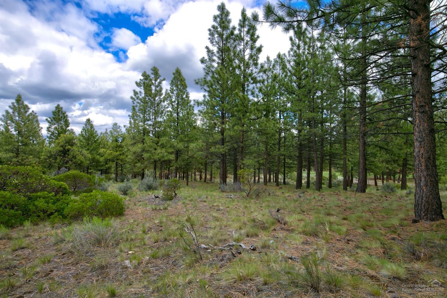 60130 East Ridgeview Drive Bend, OR 97702 - Photo 5 of 18 Additional Photo