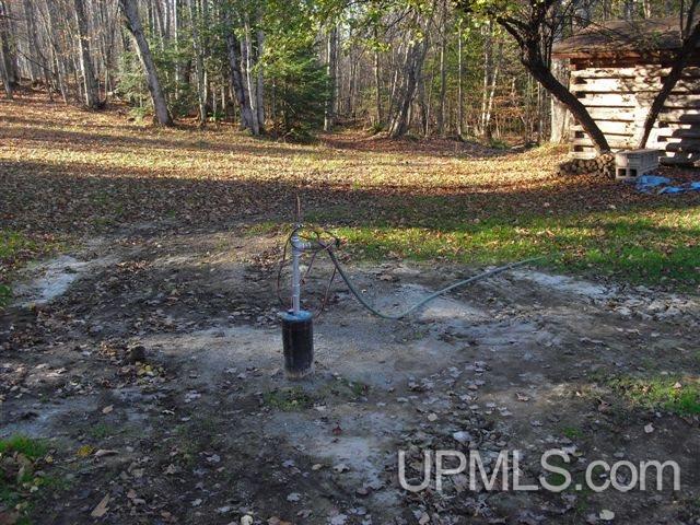 Tbd Country Lane Road Eben Junction, MI 49825 - Photo 19 of 21