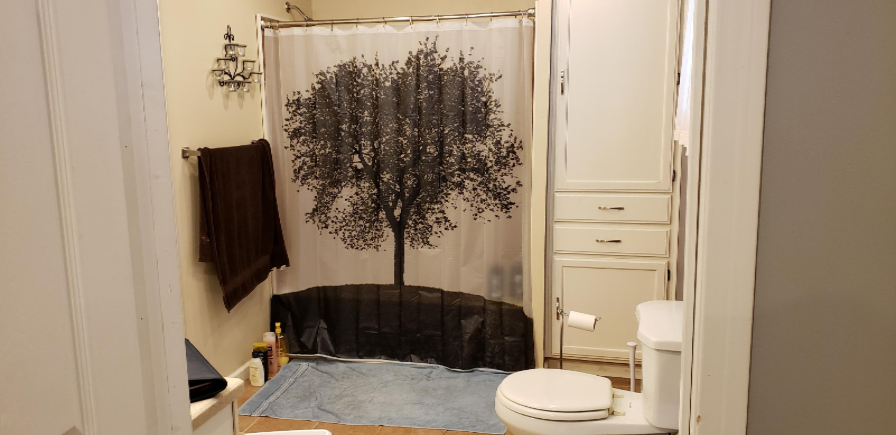 713 South Hooker Avenue Three Rivers, MI 49093 - Photo 11 of 14 Roomy bathroom with lots of storage!