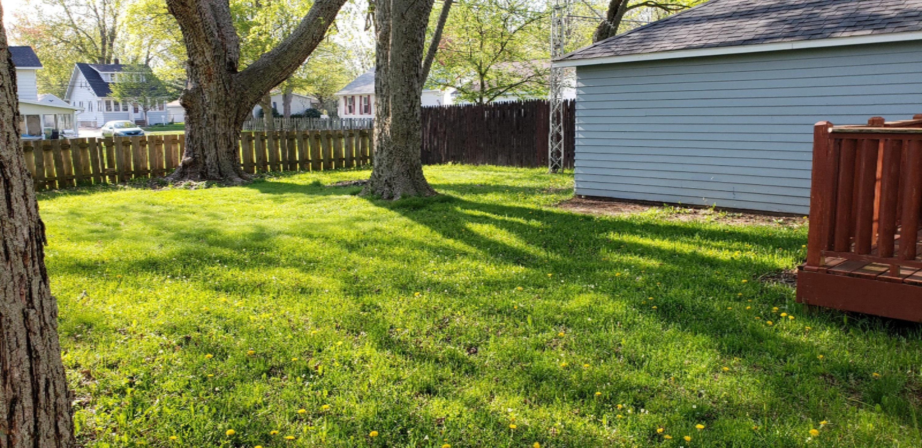 713 South Hooker Avenue Three Rivers, MI 49093 - Photo 5 of 14 Spacious fenced back yard!