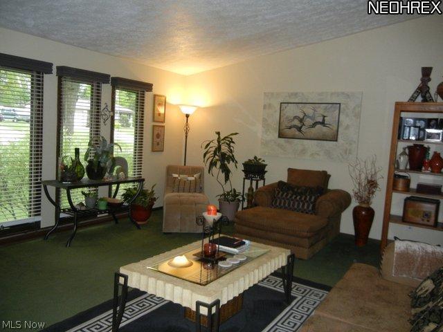 4210 Slaughter Road Uniontown, OH 44685 - Photo 9 of 25 Living room view showing cathedral ceilings.