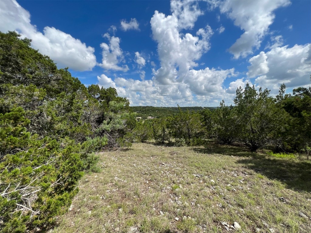 Lot 176 Suncrest Trail Bertram, TX 78605 - Photo 11 of 31 a view of an outdoor space with a lake view