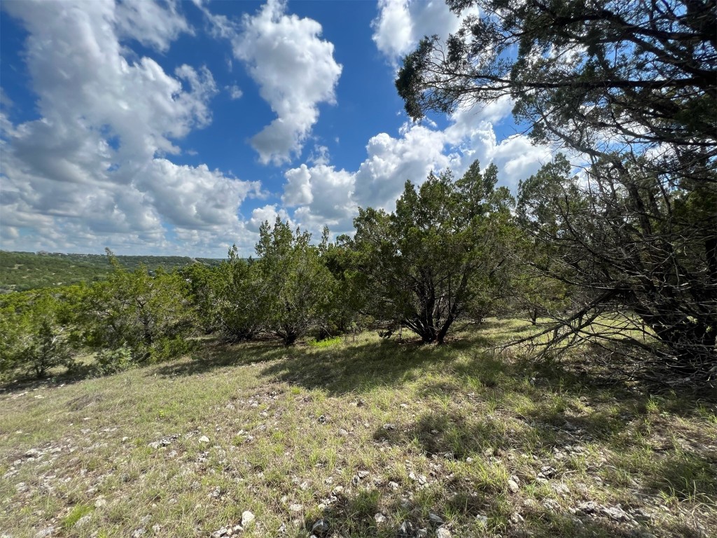 Lot 176 Suncrest Trail Bertram, TX 78605 - Photo 12 of 31 a view of outdoor space and trees