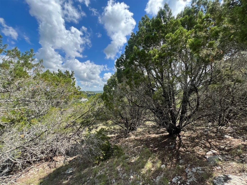 Lot 176 Suncrest Trail Bertram, TX 78605 - Photo 13 of 31 a view of a city with lush green forest