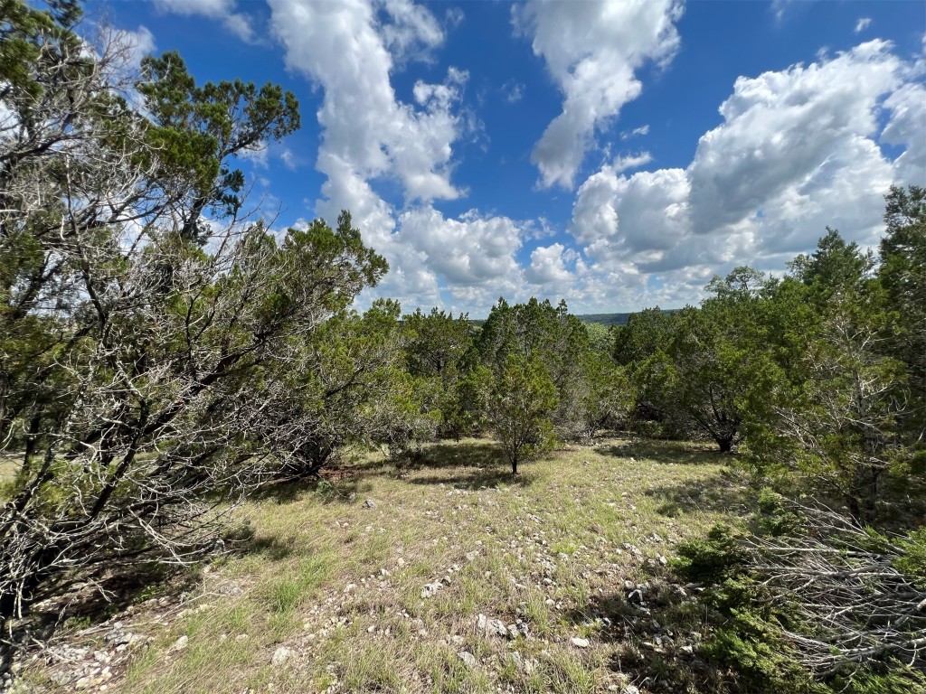 Lot 176 Suncrest Trail Bertram, TX 78605 - Photo 14 of 31 a big yard with lots of green space