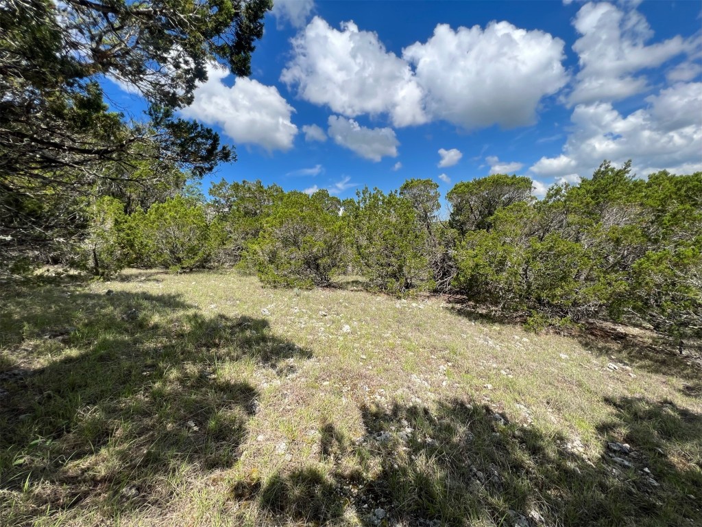 Lot 176 Suncrest Trail Bertram, TX 78605 - Photo 15 of 31 a view of a city
