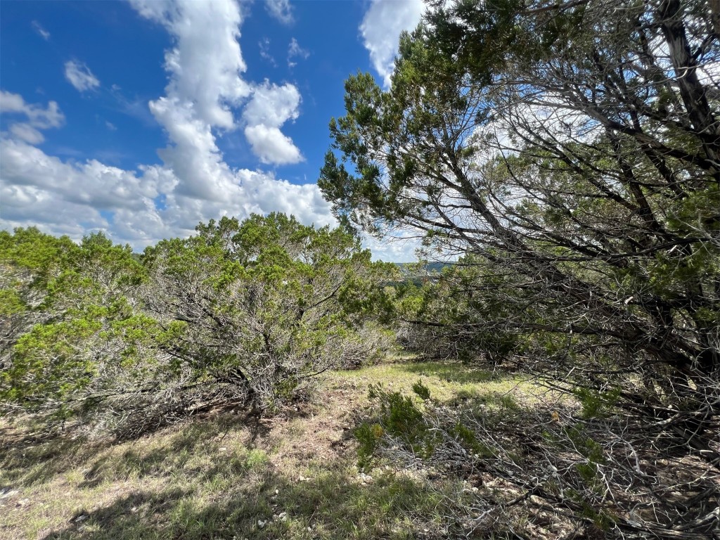 Lot 176 Suncrest Trail Bertram, TX 78605 - Photo 16 of 31 a view of a yard with plants and trees