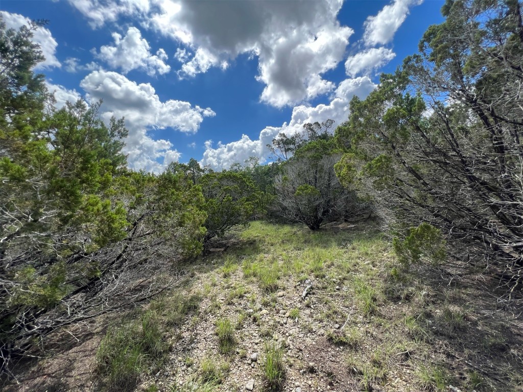 Lot 176 Suncrest Trail Bertram, TX 78605 - Photo 18 of 31 a view of a yard