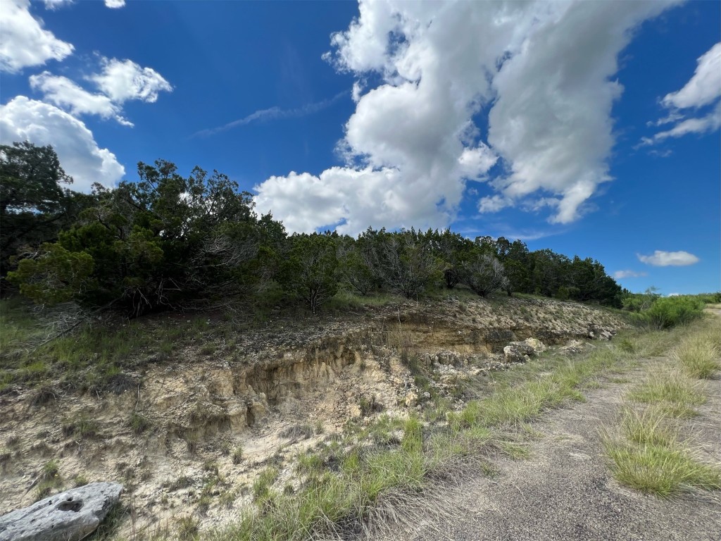Lot 176 Suncrest Trail Bertram, TX 78605 - Photo 19 of 31 a view of a yard