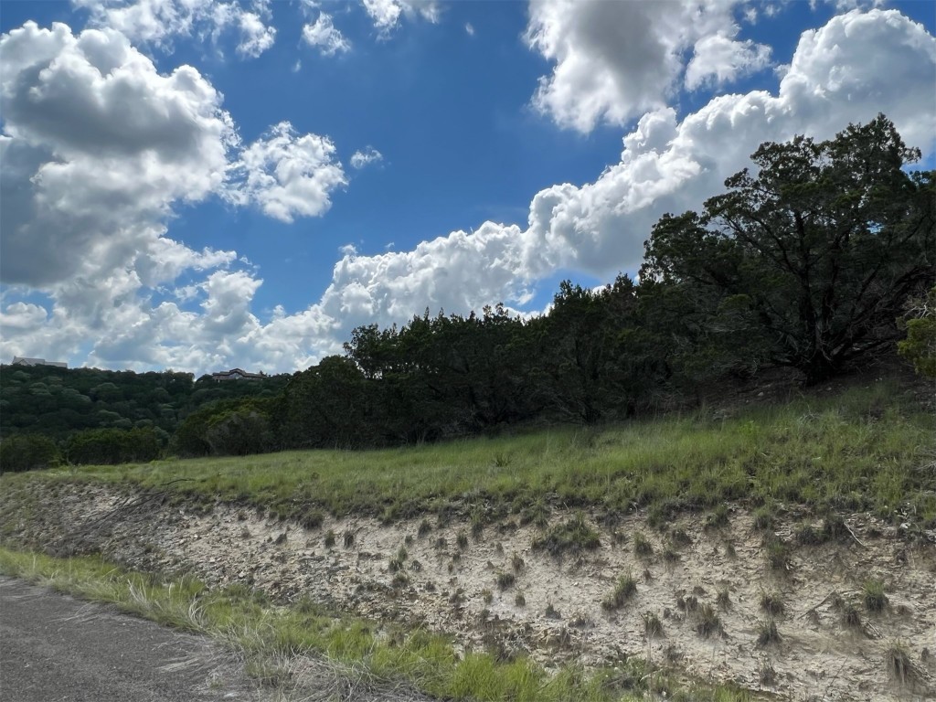 Lot 176 Suncrest Trail Bertram, TX 78605 - Photo 20 of 31 a view of a yard in a yard
