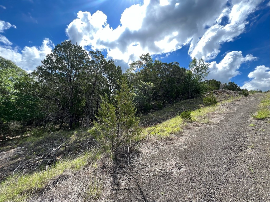 Lot 176 Suncrest Trail Bertram, TX 78605 - Photo 22 of 31 a view of a yard with a tree