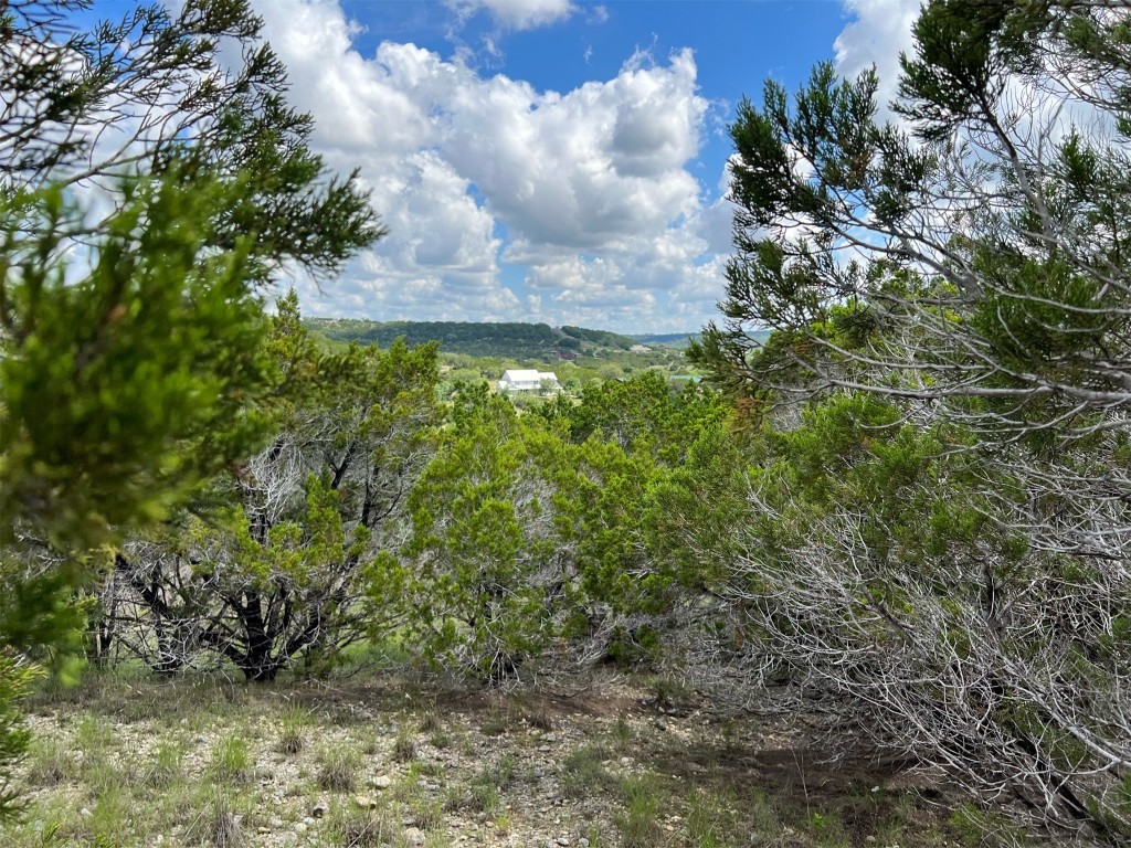 Lot 176 Suncrest Trail Bertram, TX 78605 - Photo 3 of 31 a view of a garden