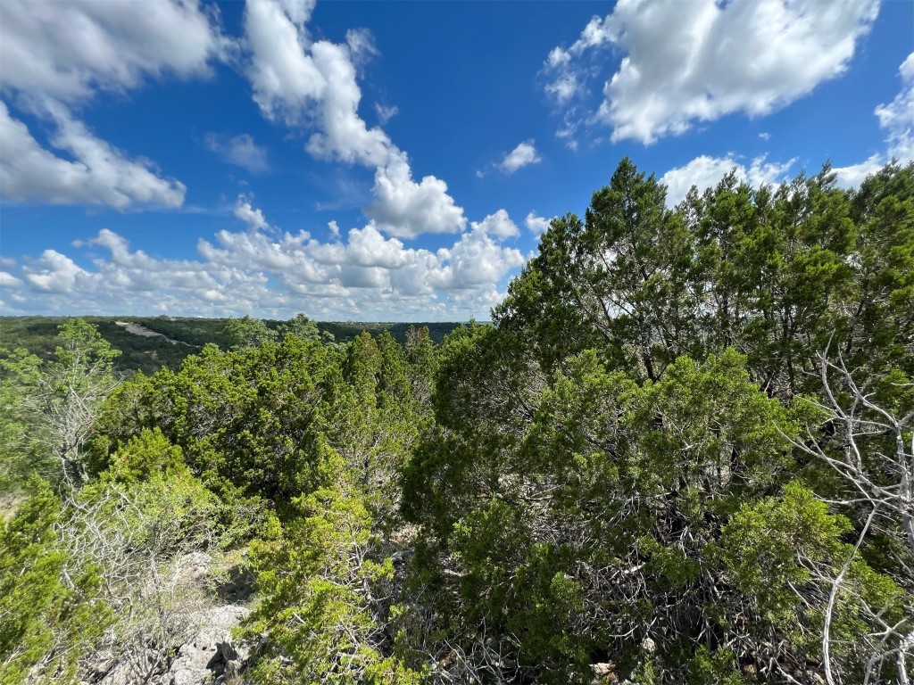 Lot 176 Suncrest Trail Bertram, TX 78605 - Photo 4 of 31 a view of a big yard