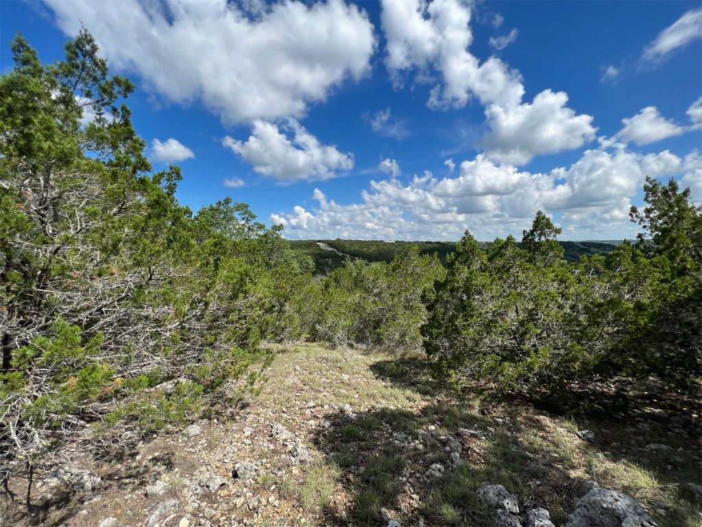 Lot 176 Suncrest Trail Bertram, TX 78605 - Photo 5 of 31 a view of a bunch of trees