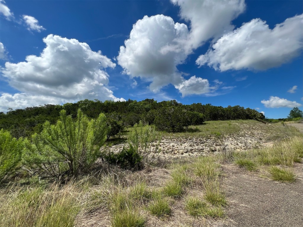 Lot 176 Suncrest Trail Bertram, TX 78605 - Photo 7 of 31 a view of a lake in between two of trees