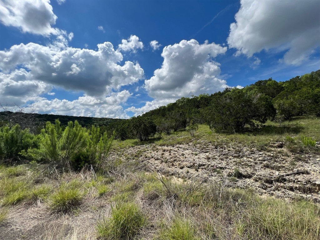 Lot 176 Suncrest Trail Bertram, TX 78605 - Photo 8 of 31 a view of a bunch of trees and bushes