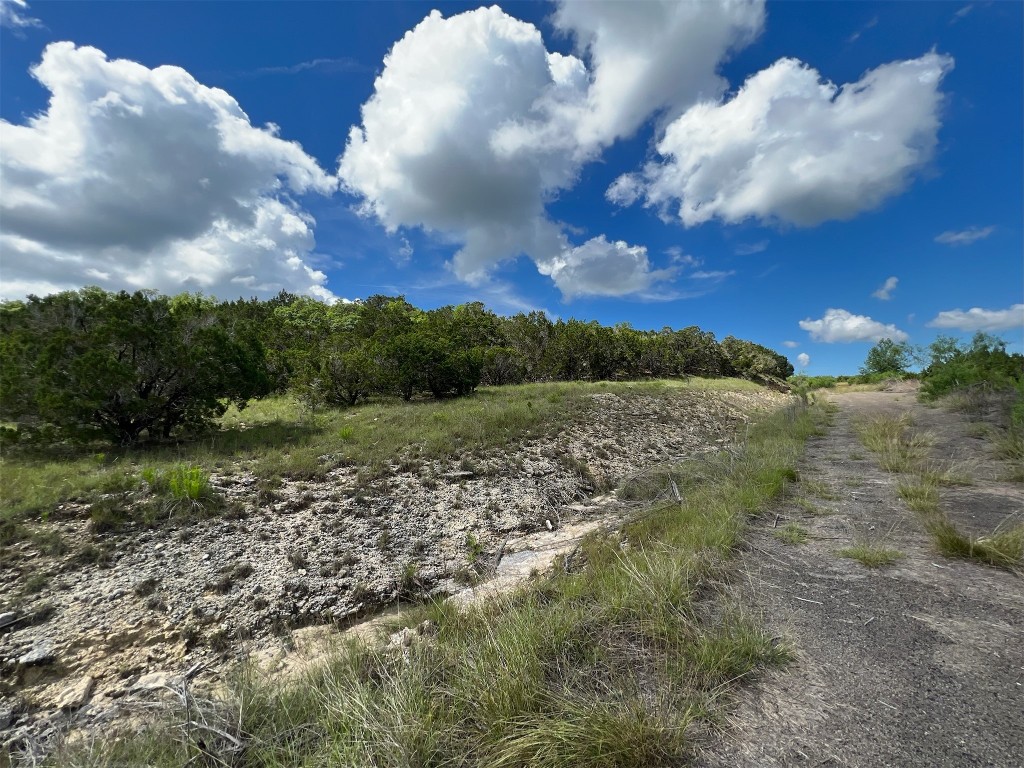 Lot 176 Suncrest Trail Bertram, TX 78605 - Photo 9 of 31 a view of a yard
