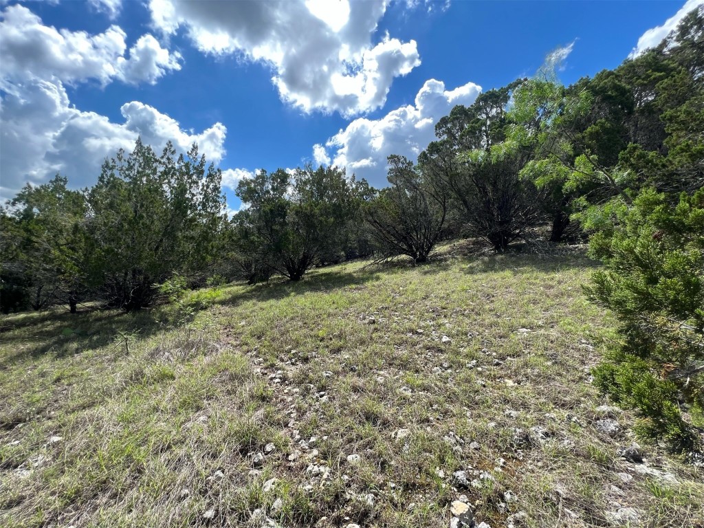 Lot 176 Suncrest Trail Bertram, TX 78605 - Photo 10 of 31 a view of a yard with plants and trees