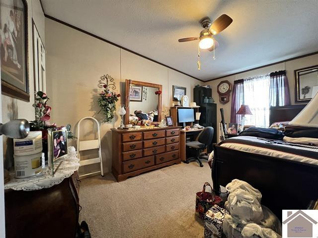 820 3rd Street Hazel, KY 42049 - Photo 19 of 27 Bedroom Three