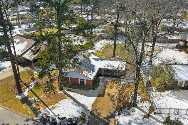 a view of a yard with plants and large trees