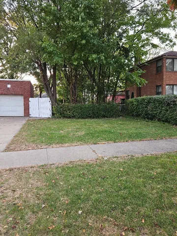 a view of a yard with plants and a large tree