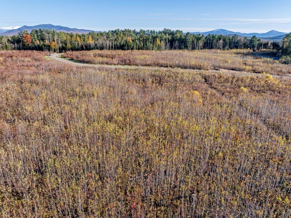 Lot 4 Mcintyre Road Dalton, NH 03598 - Photo 3 of 8
