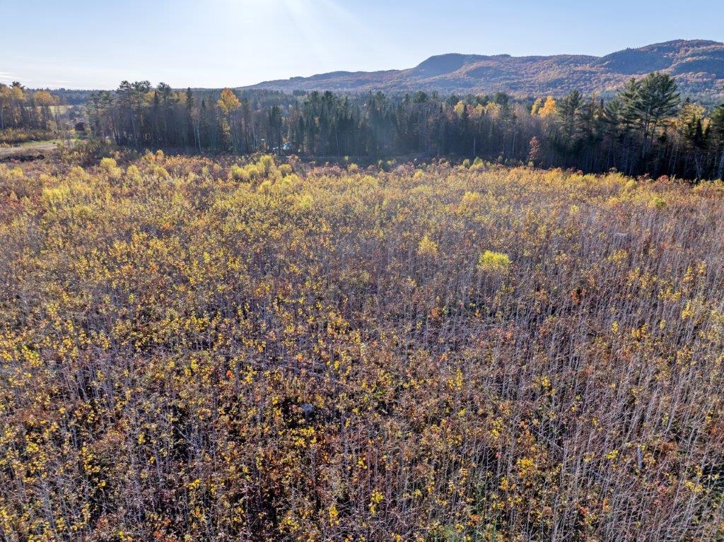 Lot 4 Mcintyre Road Dalton, NH 03598 - Photo 4 of 8