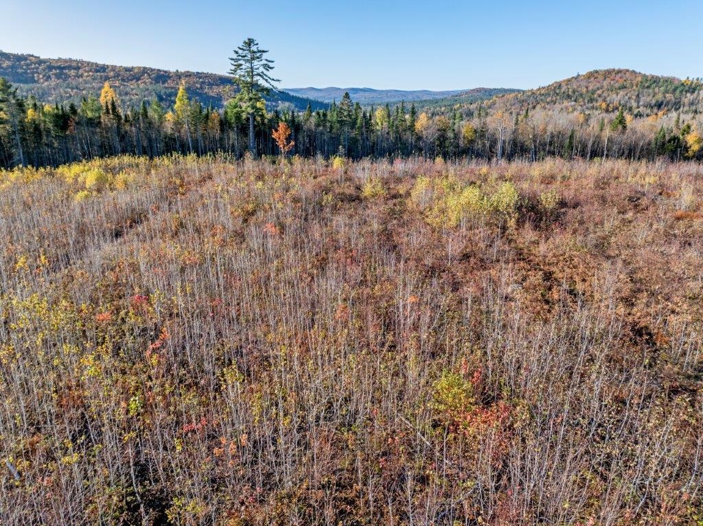 Lot 4 Mcintyre Road Dalton, NH 03598 - Photo 5 of 8