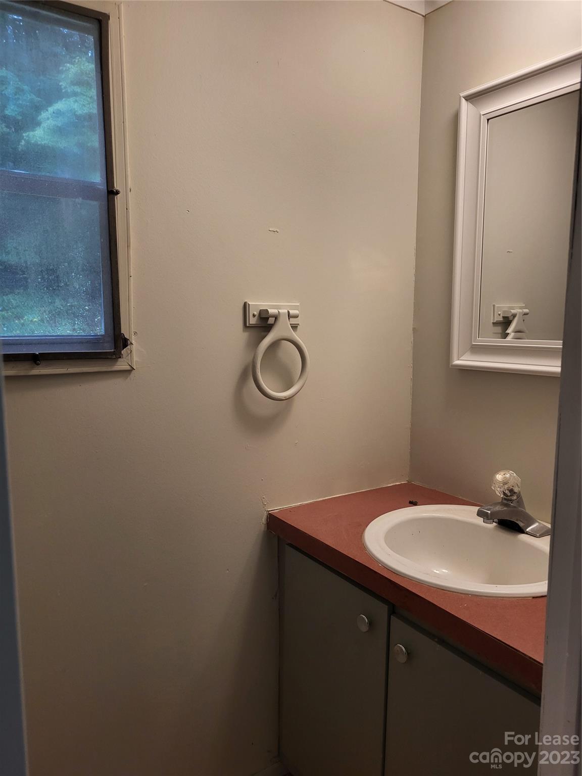 1158 Wagon Wheel Road, Unit 7 Hickory, NC 28602 - Photo 10 of 11 a bathroom with a sink and a mirror