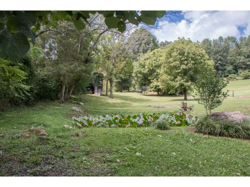21474 Benhams Road Bristol, VA 24202 - Photo 20 of 23 Old Spring Fed Pond