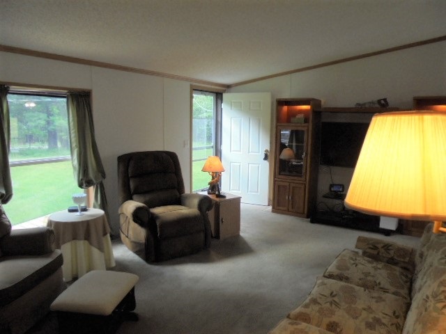 3850 Doll Road Lupton, MI 48635 - Photo 19 of 49 1837340-18.JPG