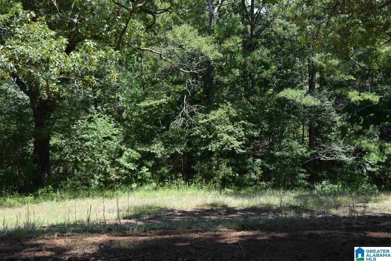 40 Armstrong Loop Hayden, AL 35079 - Photo 18 of 45