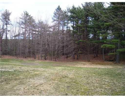 13 Elm Street Newfield, ME 04095 - Photo 4 of 20 Yard/Garden.