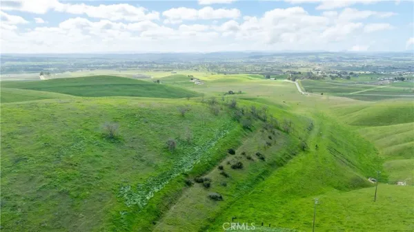 a view of a dry field with trees in the background