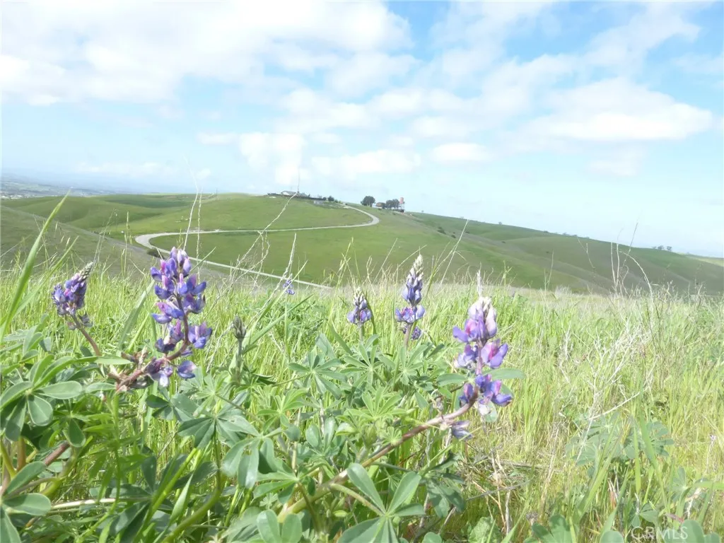 0 Yosemite Place Paso Robles, CA 93446 - Photo 32 of 75