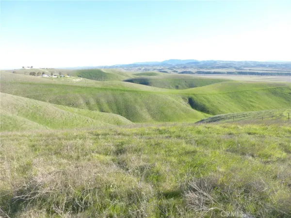 a view of a dry yard with wooden fence