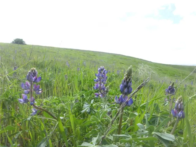 $525,000 | 0 Yosemite Place, Paso Robles, CA 93446