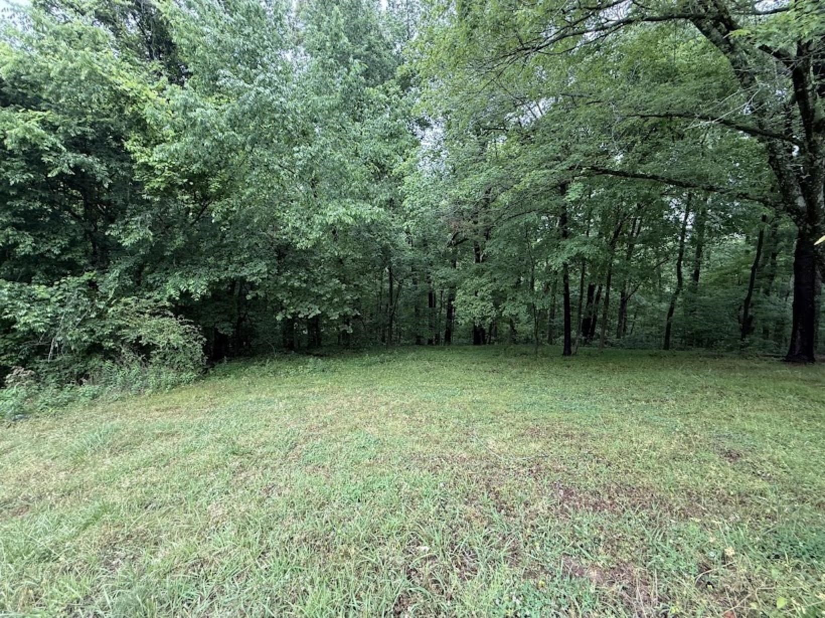 7280 Walsh Road Millington, TN 38053 - Photo 31 of 34 Expansive grassy area bordered by dense mature trees