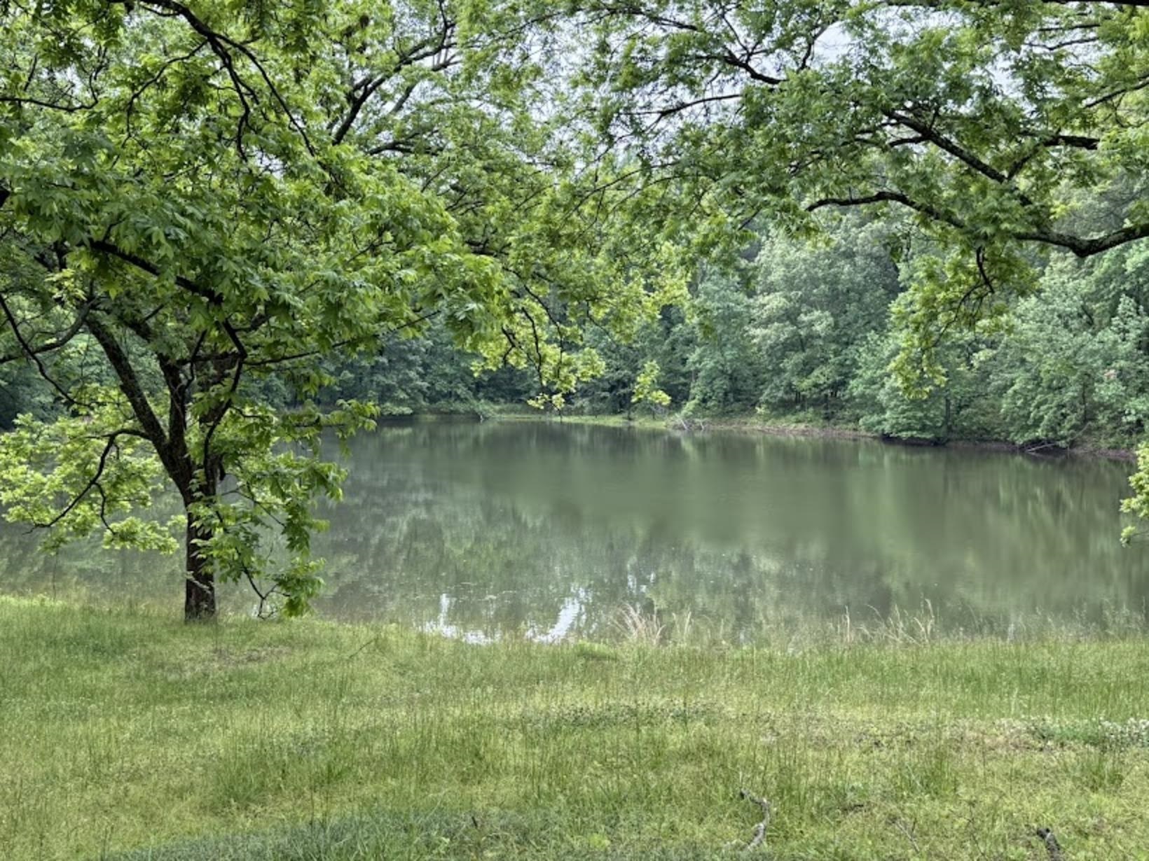 7280 Walsh Road Millington, TN 38053 - Photo 33 of 34 Expansive body of water bordered by dense tree lines