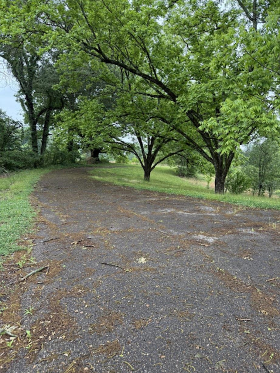 7280 Walsh Road Millington, TN 38053 - Photo 34 of 34 Paved driveway with bordering green grass and a gentle slope