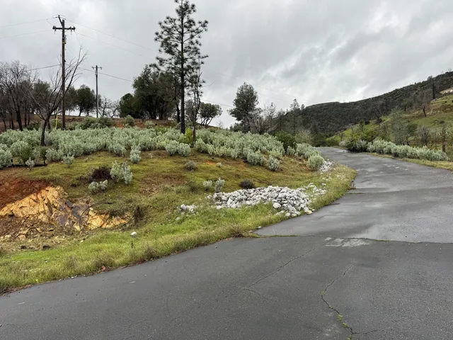 a view of a road with a yard